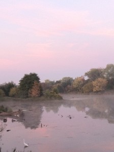 Light Morning Mist on the American River in Sacramento